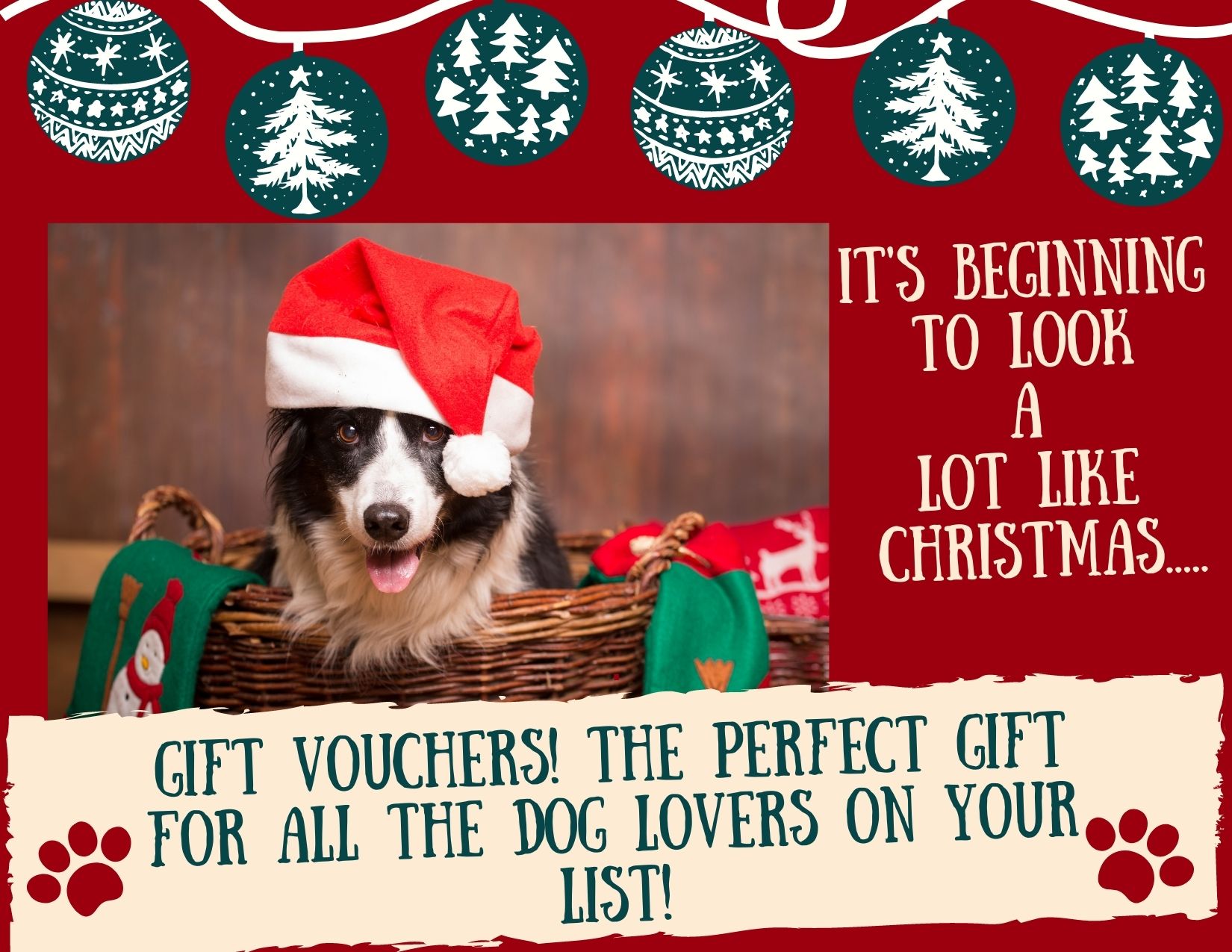 Dog training gift voucher