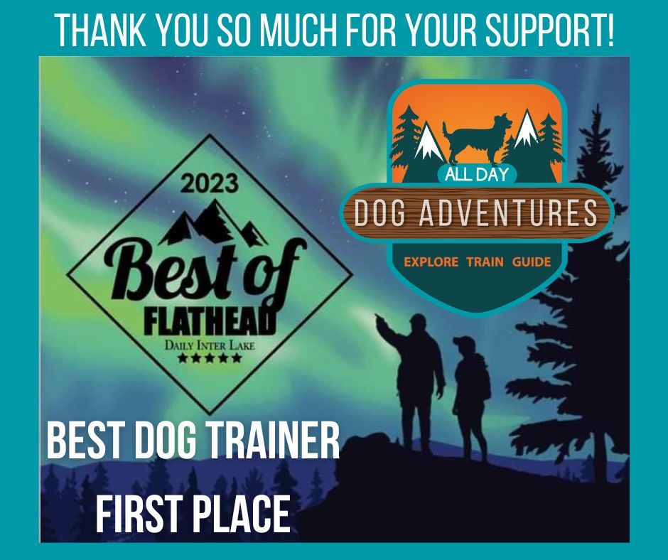 BEST DOG TRAINER 2023 Flathead Valley